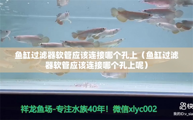 魚缸過(guò)濾器軟管應(yīng)該連接哪個(gè)孔上（魚缸過(guò)濾器軟管應(yīng)該連接哪個(gè)孔上呢） 其他品牌魚缸