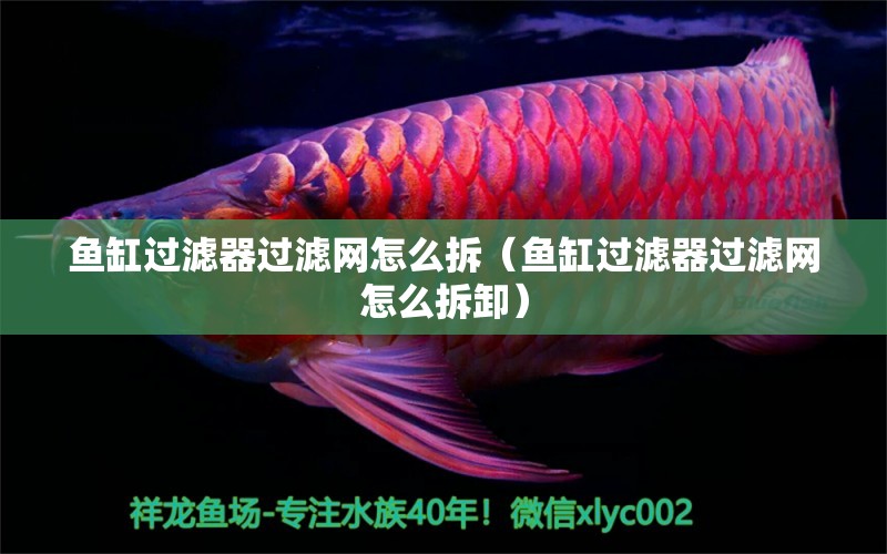 魚缸過濾器過濾網(wǎng)怎么拆（魚缸過濾器過濾網(wǎng)怎么拆卸）