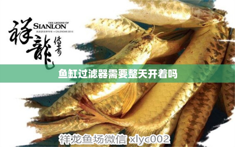 魚(yú)缸過(guò)濾器需要整天開(kāi)著嗎