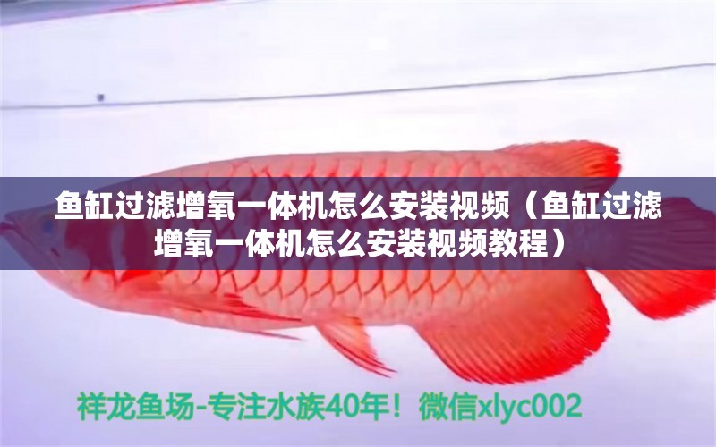 魚缸過濾增氧一體機怎么安裝視頻（魚缸過濾增氧一體機怎么安裝視頻教程）