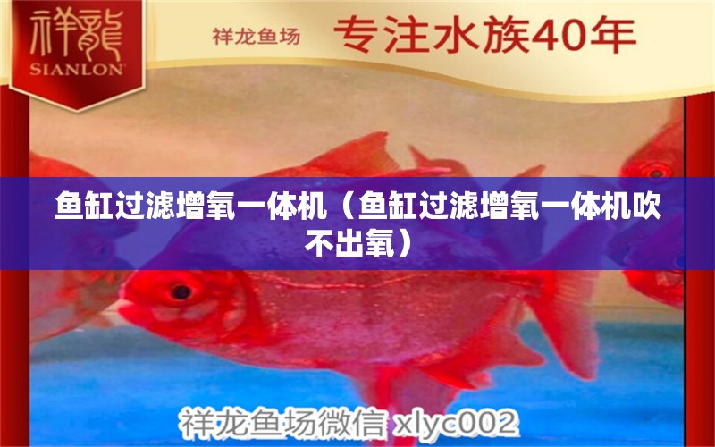 魚缸過濾增氧一體機（魚缸過濾增氧一體機吹不出氧）