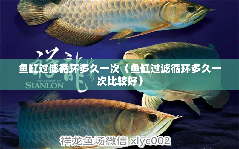 魚缸過濾循環(huán)多久一次（魚缸過濾循環(huán)多久一次比較好）