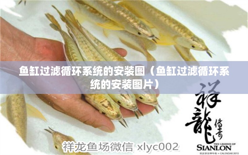 魚(yú)缸過(guò)濾循環(huán)系統(tǒng)的安裝圖（魚(yú)缸過(guò)濾循環(huán)系統(tǒng)的安裝圖片）