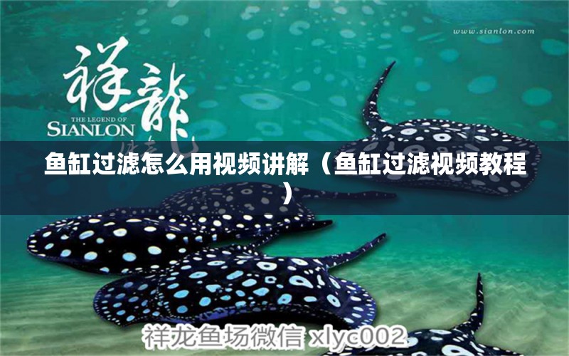 魚缸過濾怎么用視頻講解（魚缸過濾視頻教程）