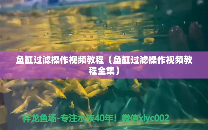 魚缸過濾操作視頻教程（魚缸過濾操作視頻教程全集） 其他品牌魚缸