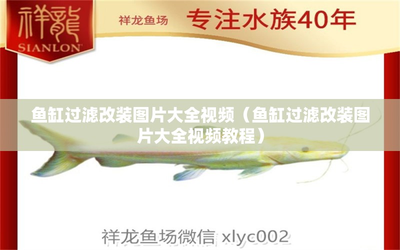 魚缸過濾改裝圖片大全視頻（魚缸過濾改裝圖片大全視頻教程） 白子銀龍苗（黃化銀龍苗）