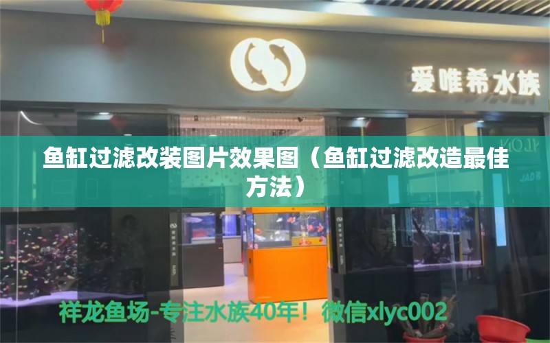 魚缸過濾改裝圖片效果圖（魚缸過濾改造最佳方法） 黑影道人魚