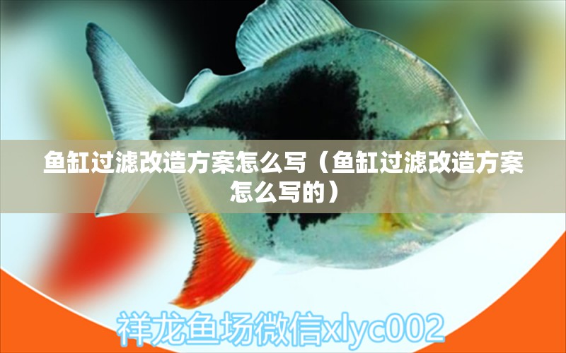 魚缸過濾改造方案怎么寫（魚缸過濾改造方案怎么寫的） 祥龍水族醫(yī)院