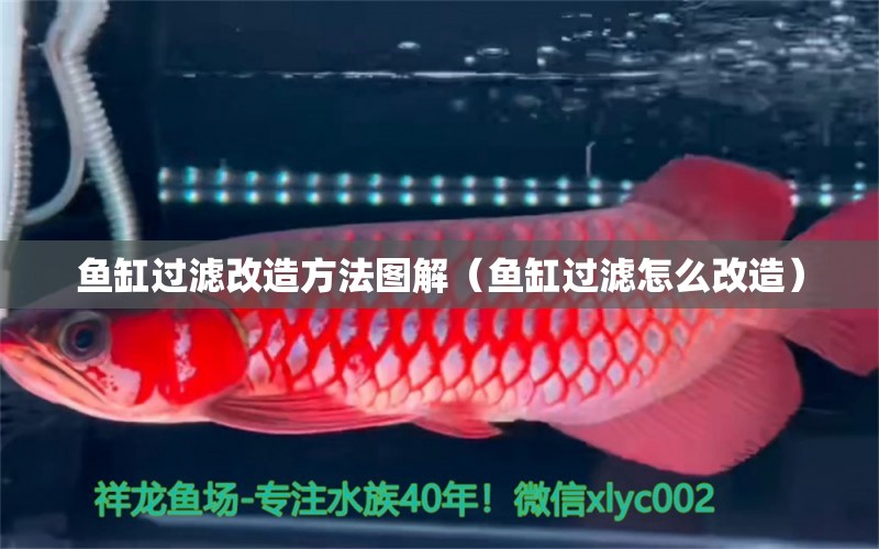 魚缸過濾改造方法圖解（魚缸過濾怎么改造） 養(yǎng)魚的好處