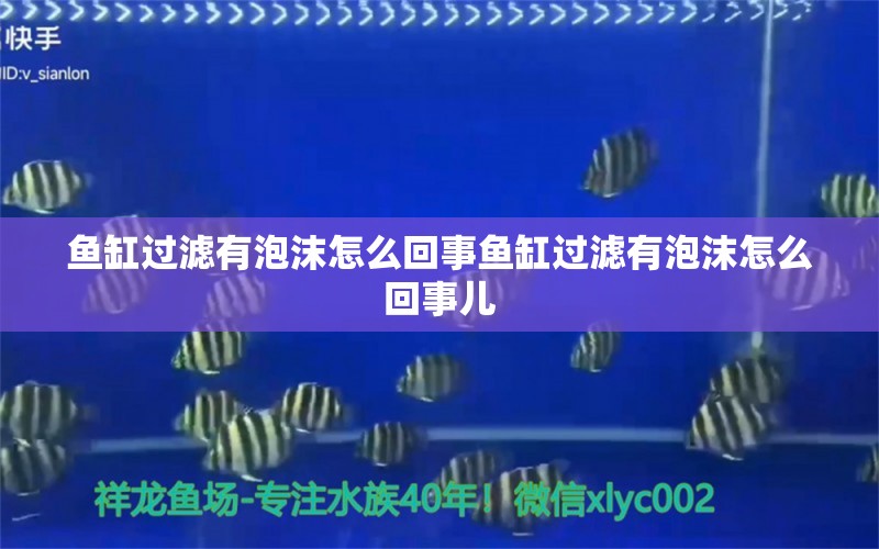 魚缸過濾有泡沫怎么回事魚缸過濾有泡沫怎么回事兒