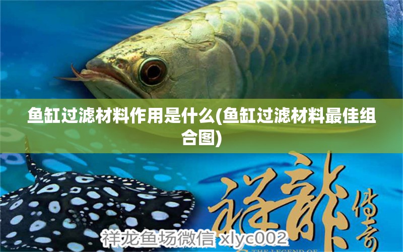 魚缸過濾材料作用是什么(魚缸過濾材料最佳組合圖) 月光鴨嘴魚苗