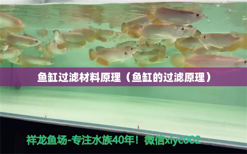 魚缸過濾材料原理（魚缸的過濾原理）