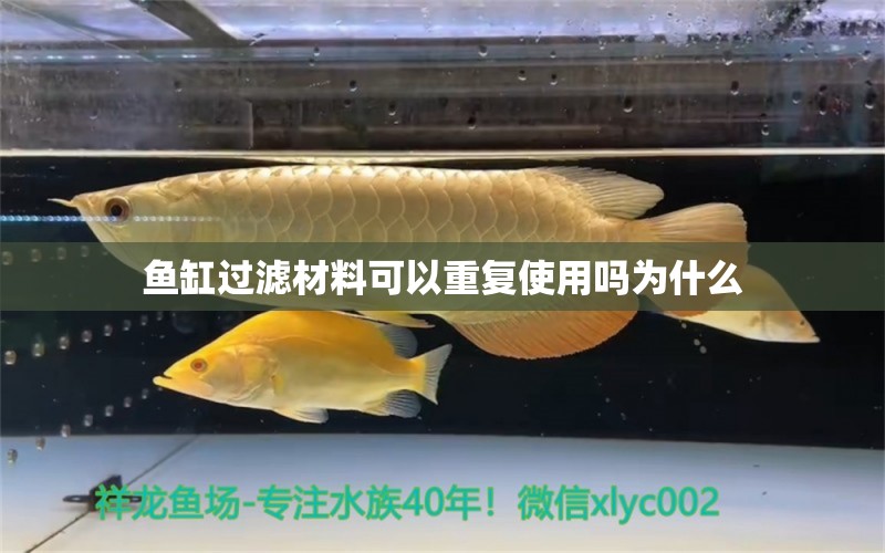 魚缸過濾材料可以重復(fù)使用嗎為什么 水族問答 第1張