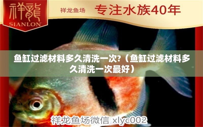 魚缸過濾材料多久清洗一次?（魚缸過濾材料多久清洗一次最好）