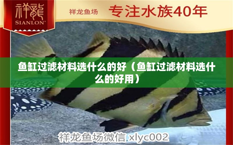 魚缸過濾材料選什么的好（魚缸過濾材料選什么的好用） 祥龍水族醫(yī)院