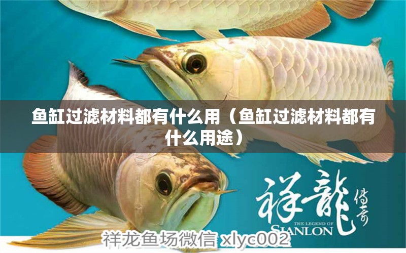 魚(yú)缸過(guò)濾材料都有什么用（魚(yú)缸過(guò)濾材料都有什么用途） 巴西亞魚(yú)苗