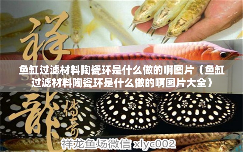 魚(yú)缸過(guò)濾材料陶瓷環(huán)是什么做的啊圖片（魚(yú)缸過(guò)濾材料陶瓷環(huán)是什么做的啊圖片大全）