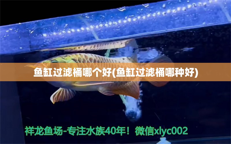 魚(yú)缸過(guò)濾桶哪個(gè)好(魚(yú)缸過(guò)濾桶哪種好) 蘇虎 第1張