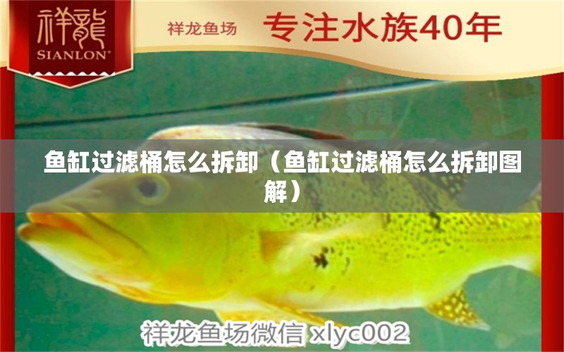 魚(yú)缸過(guò)濾桶怎么拆卸（魚(yú)缸過(guò)濾桶怎么拆卸圖解） 其他品牌魚(yú)缸