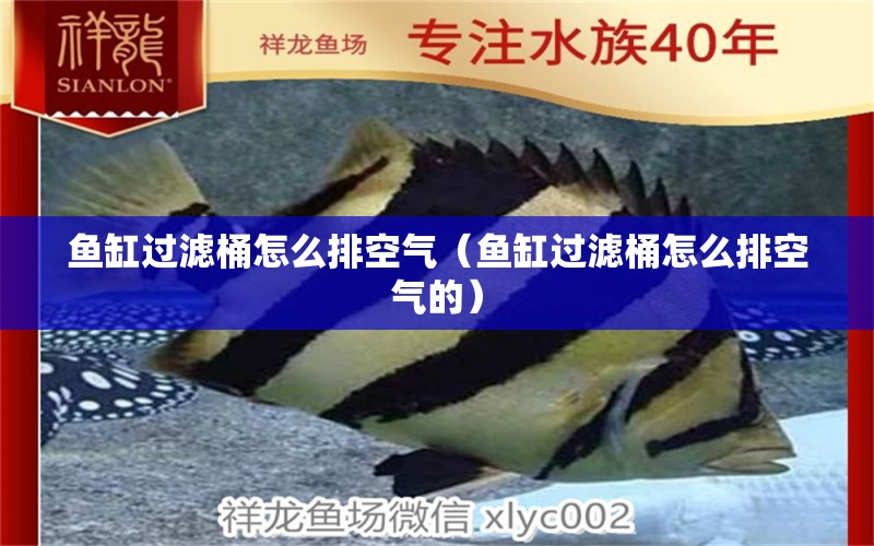 魚(yú)缸過(guò)濾桶怎么排空氣（魚(yú)缸過(guò)濾桶怎么排空氣的）