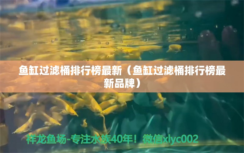 魚缸過濾桶排行榜最新（魚缸過濾桶排行榜最新品牌）