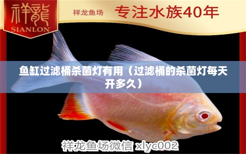 魚缸過濾桶殺菌燈有用（過濾桶的殺菌燈每天開多久） 水族維護服務（上門） 第1張