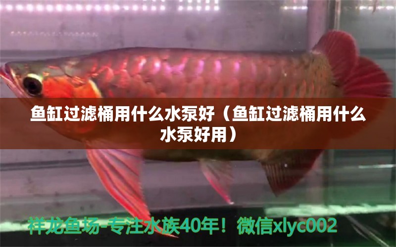 魚(yú)缸過(guò)濾桶用什么水泵好（魚(yú)缸過(guò)濾桶用什么水泵好用）