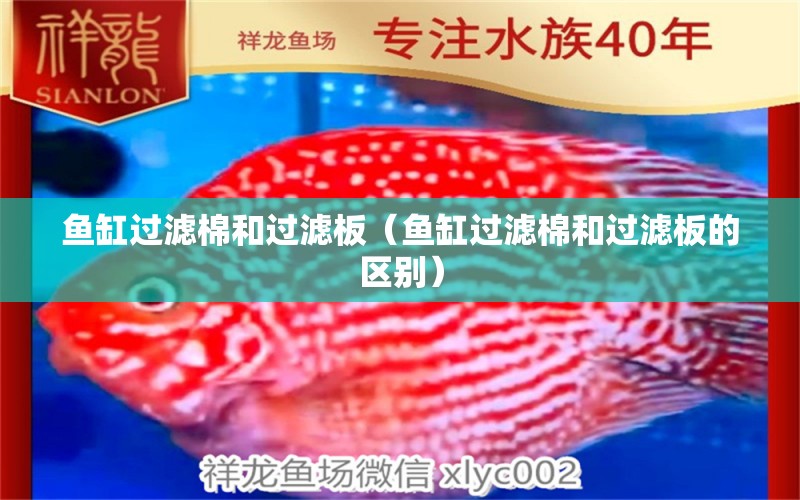 魚(yú)缸過(guò)濾棉和過(guò)濾板（魚(yú)缸過(guò)濾棉和過(guò)濾板的區(qū)別）