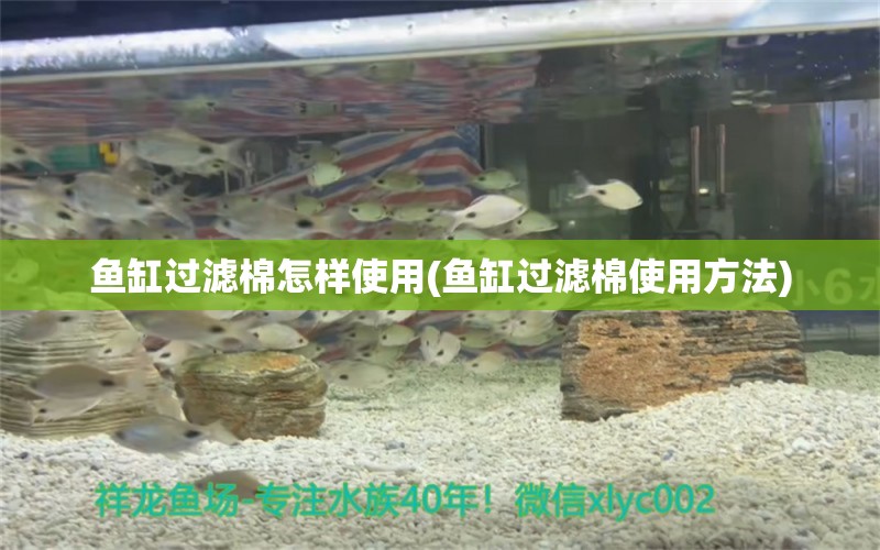 魚缸過濾棉怎樣使用(魚缸過濾棉使用方法) 撒旦鴨嘴魚