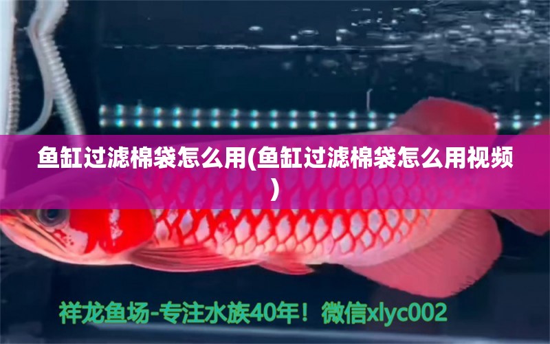 魚缸過濾棉袋怎么用(魚缸過濾棉袋怎么用視頻) 蝴蝶鯉