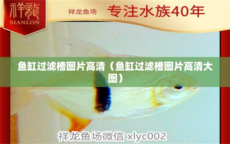 魚(yú)缸過(guò)濾槽圖片高清（魚(yú)缸過(guò)濾槽圖片高清大圖）