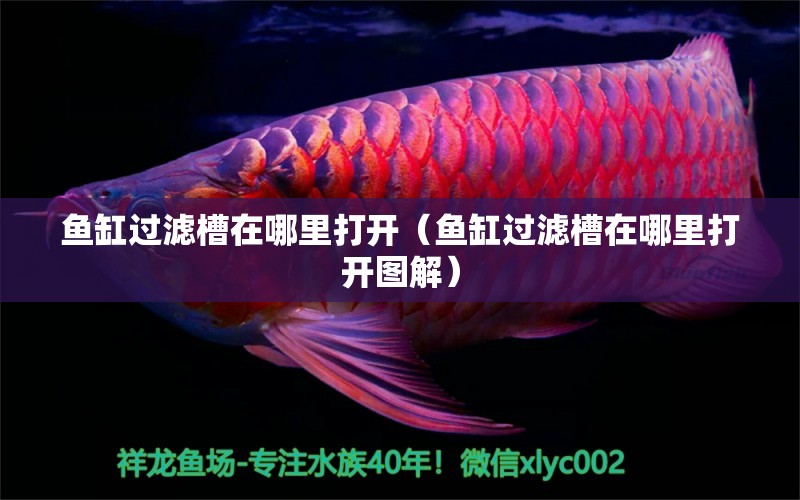 魚缸過(guò)濾槽在哪里打開（魚缸過(guò)濾槽在哪里打開圖解） 其他品牌魚缸