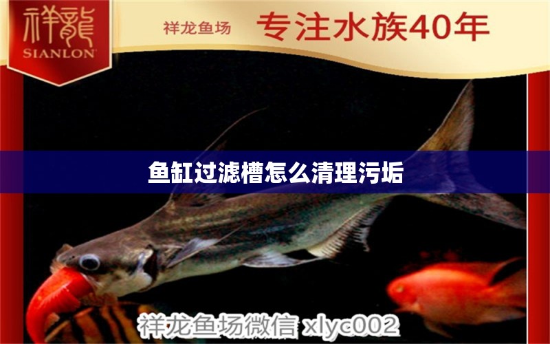 魚(yú)缸過(guò)濾槽怎么清理污垢