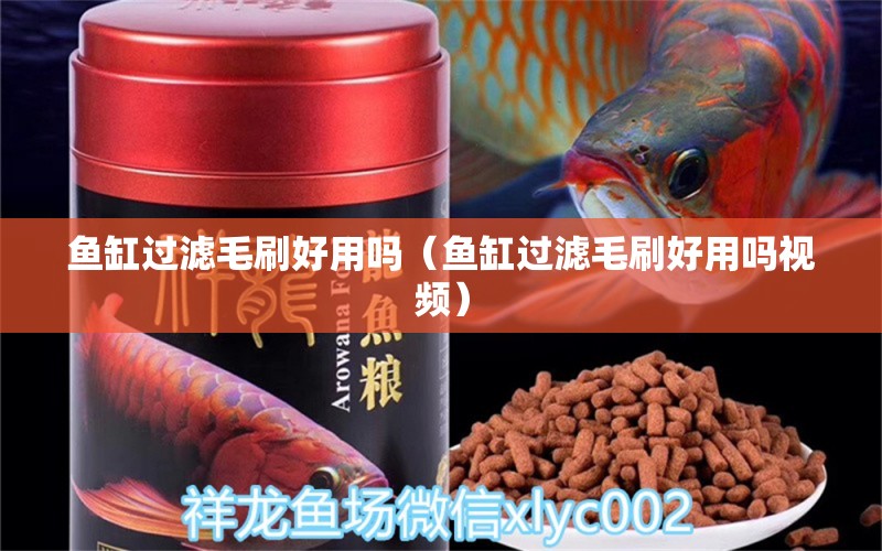 魚缸過濾毛刷好用嗎（魚缸過濾毛刷好用嗎視頻） 紅勾銀版魚