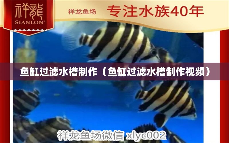 魚缸過濾水槽制作（魚缸過濾水槽制作視頻）