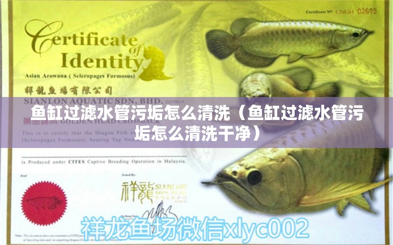 魚缸過濾水管污垢怎么清洗（魚缸過濾水管污垢怎么清洗干凈） 其他品牌魚缸