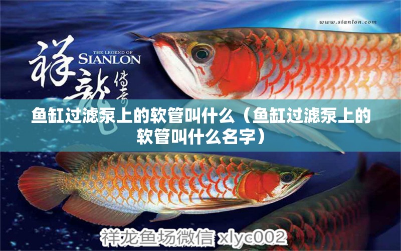 魚缸過濾泵上的軟管叫什么（魚缸過濾泵上的軟管叫什么名字）