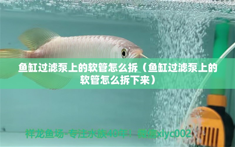 魚缸過濾泵上的軟管怎么拆（魚缸過濾泵上的軟管怎么拆下來）