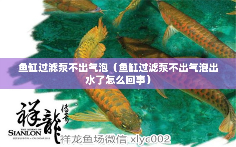 魚缸過濾泵不出氣泡（魚缸過濾泵不出氣泡出水了怎么回事）