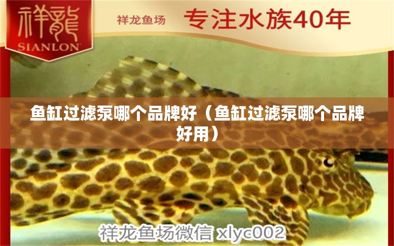 魚缸過濾泵哪個(gè)品牌好（魚缸過濾泵哪個(gè)品牌好用）