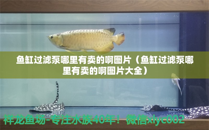 魚缸過濾泵哪里有賣的啊圖片（魚缸過濾泵哪里有賣的啊圖片大全）