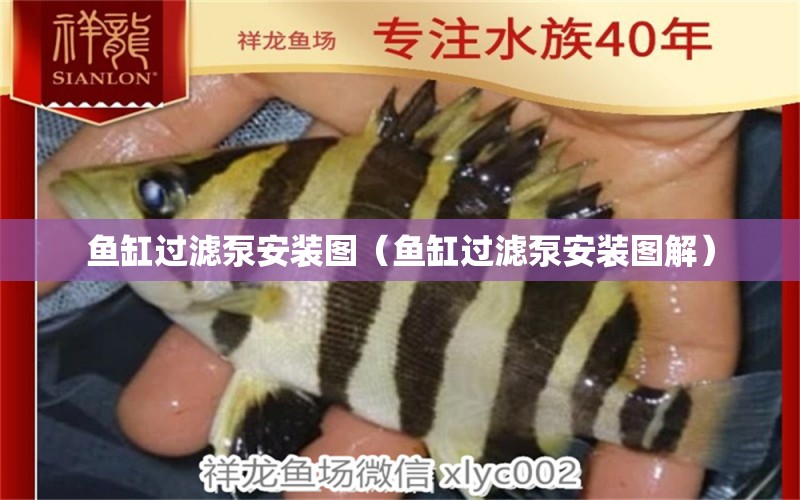 魚缸過濾泵安裝圖（魚缸過濾泵安裝圖解）