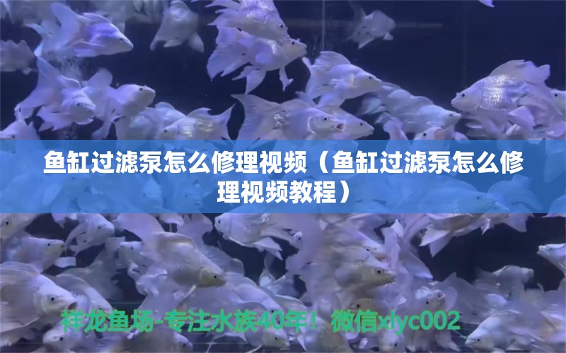 魚缸過濾泵怎么修理視頻（魚缸過濾泵怎么修理視頻教程）