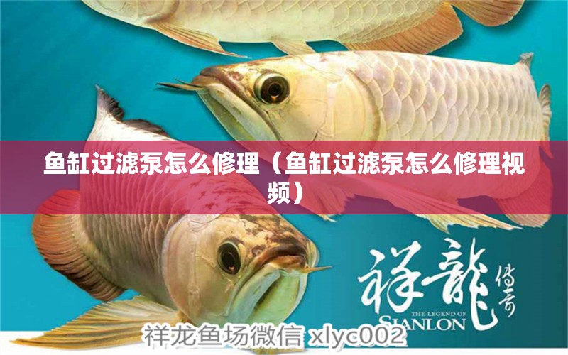 魚缸過濾泵怎么修理（魚缸過濾泵怎么修理視頻）