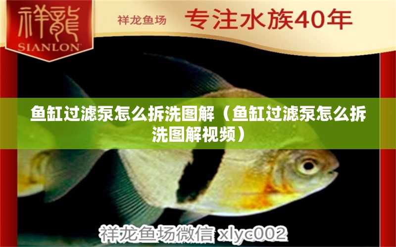 魚缸過濾泵怎么拆洗圖解（魚缸過濾泵怎么拆洗圖解視頻） 其他品牌魚缸