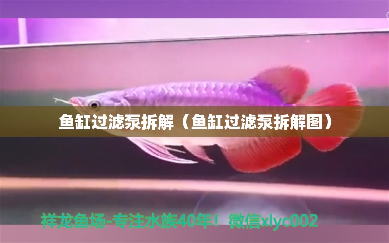 魚缸過濾泵拆解（魚缸過濾泵拆解圖）