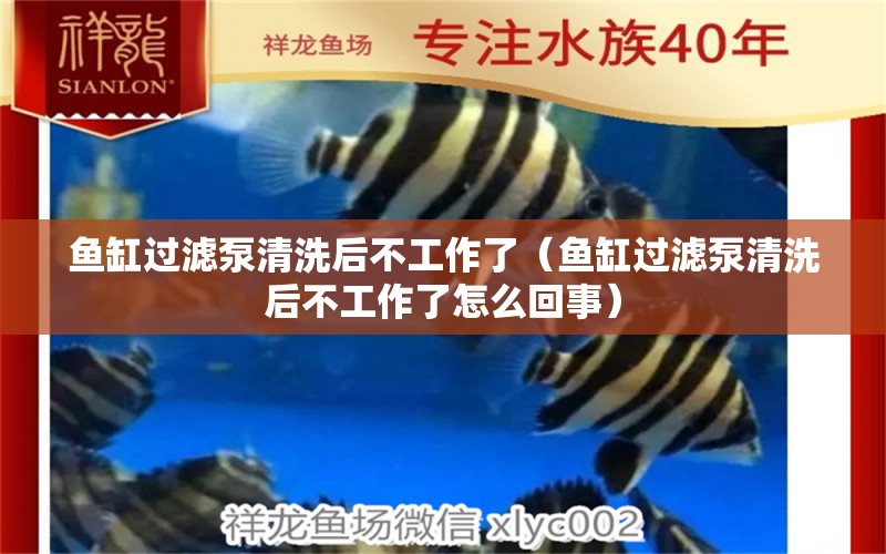 魚缸過濾泵清洗后不工作了（魚缸過濾泵清洗后不工作了怎么回事）