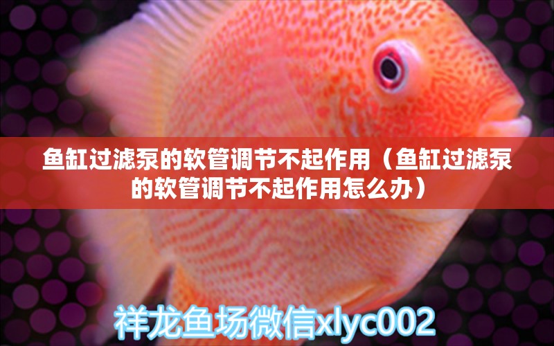 魚缸過濾泵的軟管調(diào)節(jié)不起作用（魚缸過濾泵的軟管調(diào)節(jié)不起作用怎么辦）