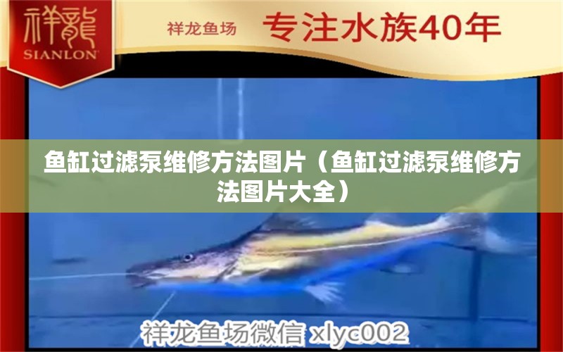 魚缸過濾泵維修方法圖片（魚缸過濾泵維修方法圖片大全）