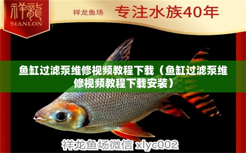 魚(yú)缸過(guò)濾泵維修視頻教程下載（魚(yú)缸過(guò)濾泵維修視頻教程下載安裝）